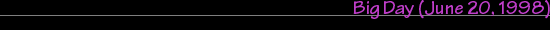 BigDay Banner